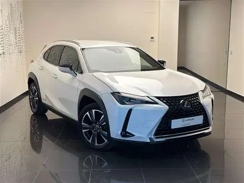 Used LEXUS UX Hybrid 2019 Ad 