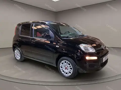 Annonce FIAT PANDA Essence 2020 d'occasion 