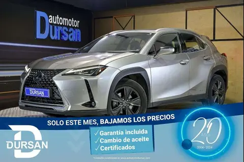 Used LEXUS UX Hybrid 2020 Ad 