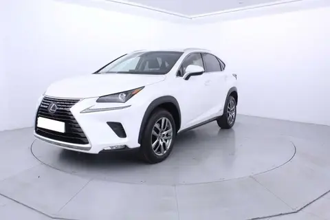 Used LEXUS NX Hybrid 2019 Ad 