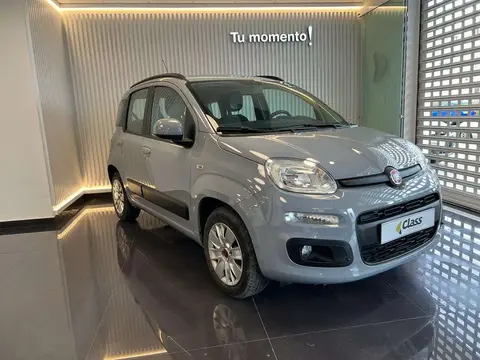 Annonce FIAT PANDA Essence 2019 d'occasion 