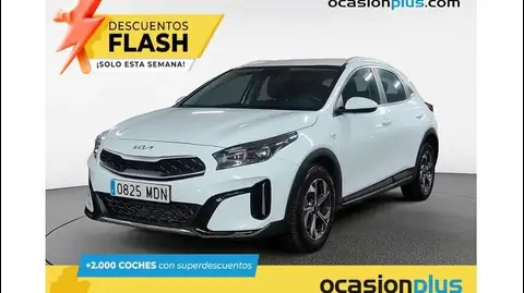 Annonce KIA XCEED Essence 2023 d'occasion 