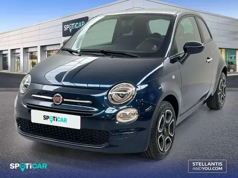 Used FIAT 500 Petrol 2023 Ad 