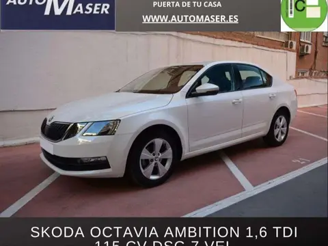 Annonce SKODA OCTAVIA Diesel 2019 d'occasion 