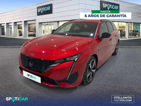 Annonce PEUGEOT 308 Diesel 2023 d'occasion 