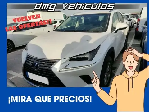 Annonce LEXUS NX Hybride 2018 d'occasion 