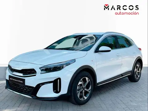 Annonce KIA XCEED Diesel 2023 d'occasion 