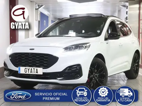 Annonce FORD KUGA Hybride 2023 d'occasion 