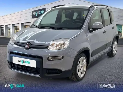 Used FIAT PANDA Petrol 2022 Ad 