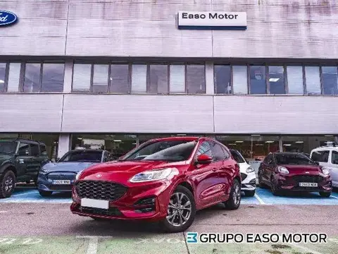 Annonce FORD KUGA Essence 2023 d'occasion 