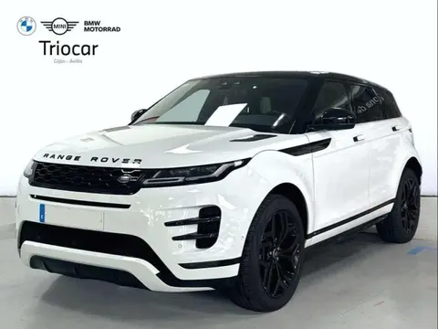 Used LAND ROVER RANGE ROVER EVOQUE Diesel 2019 Ad 