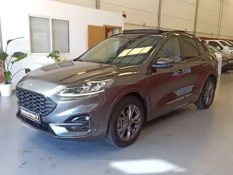 Annonce FORD KUGA Hybride 2020 d'occasion 