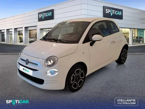 Used FIAT 500 Petrol 2023 Ad 