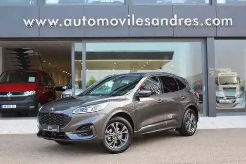 Used FORD KUGA Hybrid 2023 Ad 