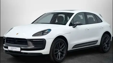 Used PORSCHE MACAN Petrol 2024 Ad 