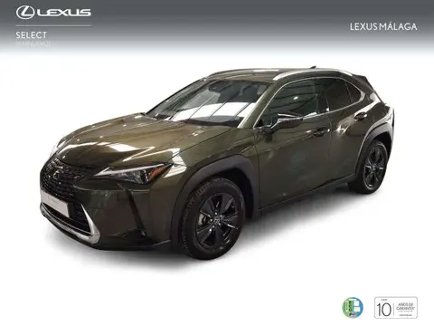 Annonce LEXUS UX Hybride 2024 d'occasion 