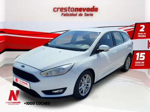 Annonce FORD FOCUS Diesel 2018 d'occasion 