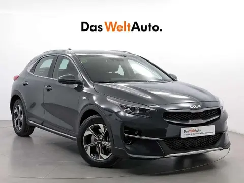 Used KIA XCEED Petrol 2022 Ad 