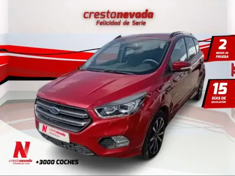 Used FORD KUGA Diesel 2018 Ad 