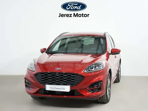 Used FORD KUGA  2021 Ad 