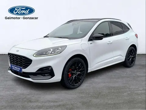 Annonce FORD KUGA  2023 d'occasion 