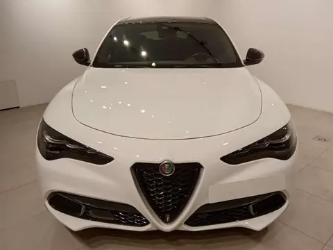 Annonce ALFA ROMEO STELVIO Diesel 2024 d'occasion 