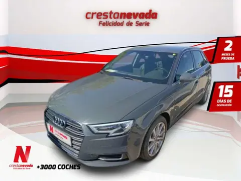 Annonce AUDI A3 Diesel 2017 d'occasion 