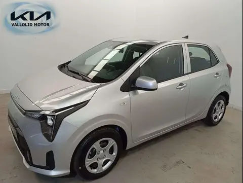 Annonce KIA PICANTO Essence 2024 d'occasion 