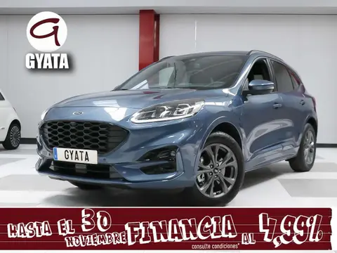 Annonce FORD KUGA Hybride 2023 d'occasion 