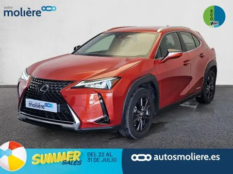 Used LEXUS UX Hybrid 2020 Ad 