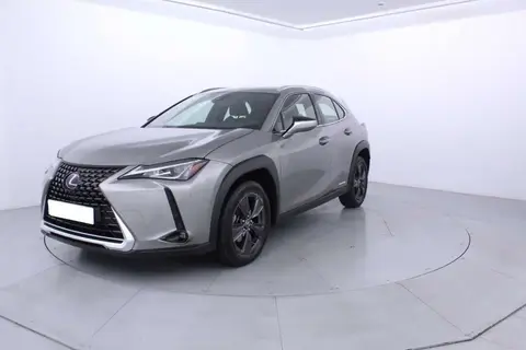 Used LEXUS UX  2019 Ad 