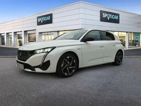 Used PEUGEOT 308 Hybrid 2022 Ad 