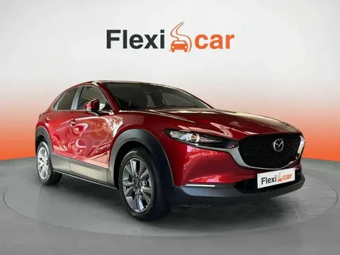 Annonce MAZDA CX-30 Hybride 2021 d'occasion 