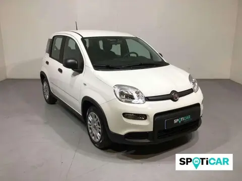 Annonce FIAT PANDA Hybride 2024 d'occasion 