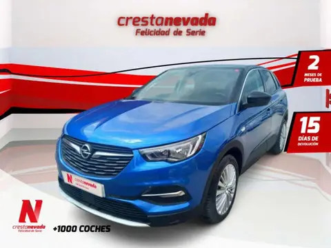 Used OPEL GRANDLAND Diesel 2018 Ad 