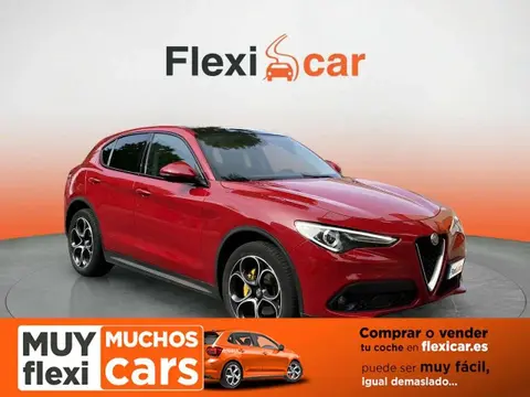 Used ALFA ROMEO STELVIO Diesel 2019 Ad 