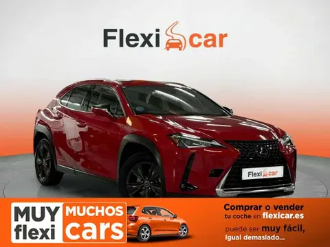 Used LEXUS UX Hybrid 2020 Ad 