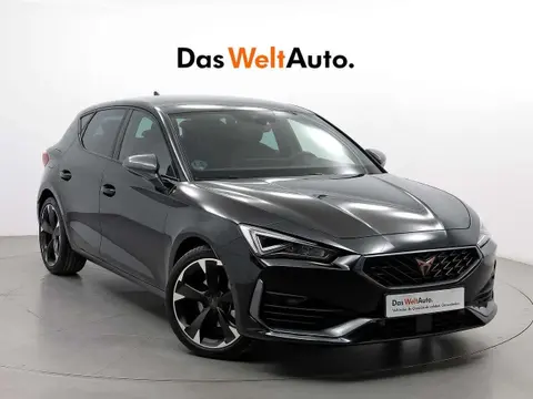 Used CUPRA LEON Petrol 2023 Ad 