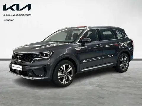 Used KIA SORENTO Hybrid 2023 Ad 