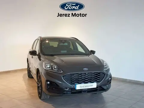 Used FORD KUGA  2023 Ad 