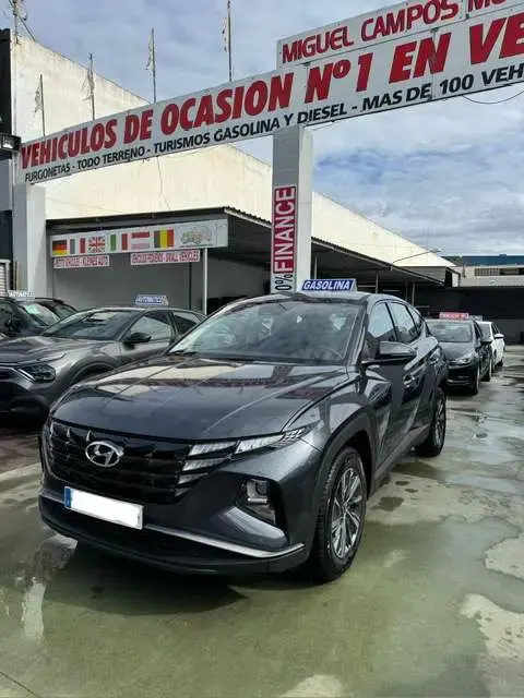 Annonce HYUNDAI TUCSON Essence 2023 d'occasion 