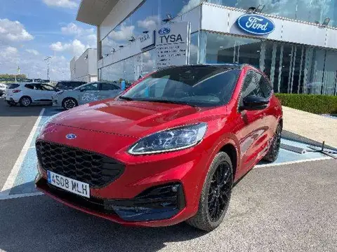 Annonce FORD KUGA Essence 2023 d'occasion 