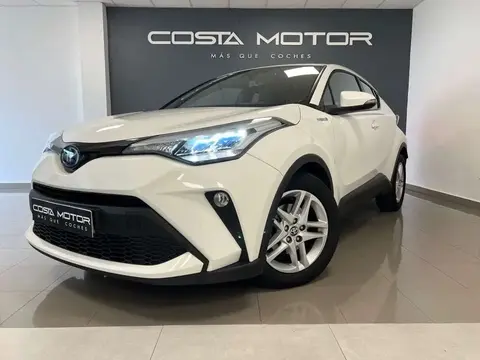 Used TOYOTA C-HR Hybrid 2021 Ad 