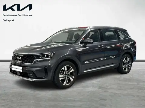 Annonce KIA SORENTO Hybride 2023 d'occasion 