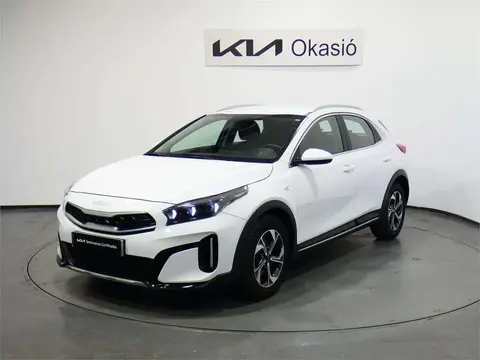 Used KIA XCEED Petrol 2023 Ad 