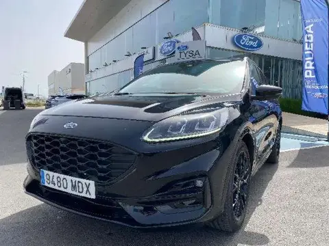 Annonce FORD KUGA Essence 2023 d'occasion 