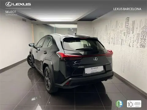 Used LEXUS UX Hybrid 2020 Ad 