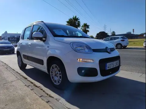 Used FIAT PANDA Petrol 2020 Ad 