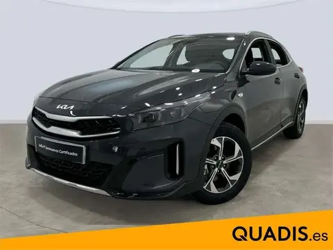 Used KIA XCEED Petrol 2024 Ad 