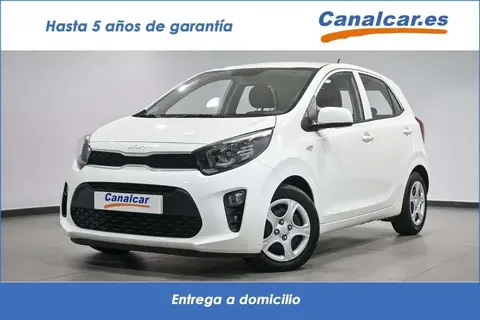 Used KIA PICANTO Petrol 2022 Ad 